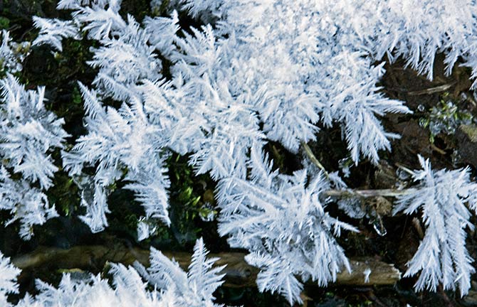 creek feathers